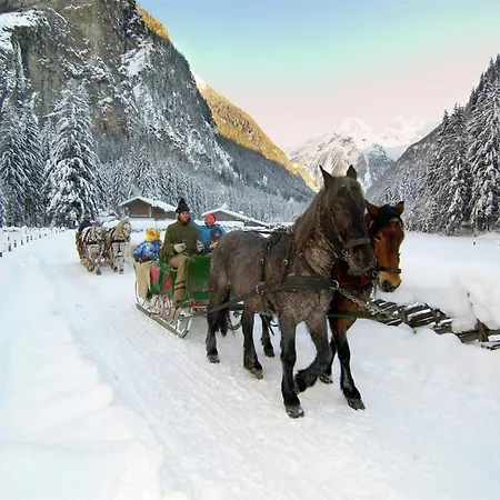 Flat Gastein Near Slopes Apartment